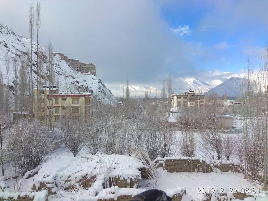 Snow Lion Ladakh Hotel Leh Exterior photo