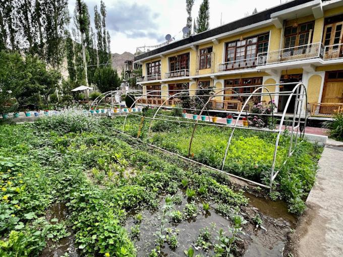 Snow Lion Ladakh Hotel Leh Exterior photo